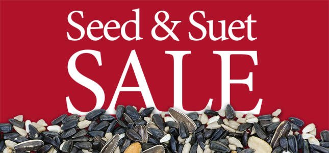 Seed & Suet Sale